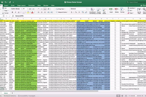Digital marketing portfolio example — high-quality B2B lead generation from LinkedIn showing verified contact data in structured Excel format